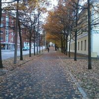  Helsinki autumn, Хельсинки