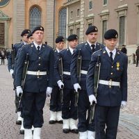 Sweden stockholm royal guard, Сольна