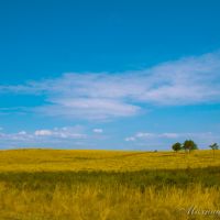 Лисаковск. Степь., Лисаковск