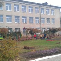 Сбор урожая винограда студентами колледжа электротехники октябрь 2016, Белоозерск