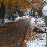 Первый снег-ноябрь 2016, Белоозерск
