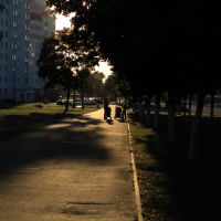 evening walk, Светлогорск