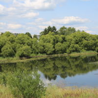 Река Теза возле Филино, Шуя