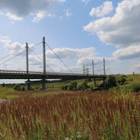 Мост через Тезу возле Филино (на объездной автодороге), Шуя