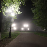 Туман в городском парке., Шуя