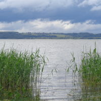 Галичское озеро, Галич