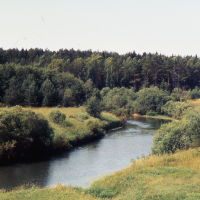 река НЕЯ  дер Коняево Парфеньевский р-н (конец 90х), Парфентьево