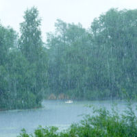 Дождь и гуси на Байгоре, Грязи