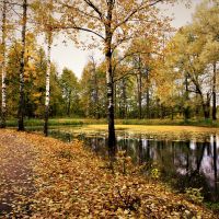 Осень в парке Майданово., Клин