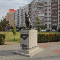 Памятник Преданности, Тольятти
