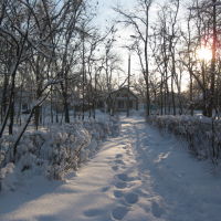 Зима в Буденновске, Буденновск