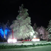 Зимняя ночь р.п. Мордово, Мордово
