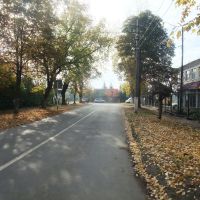 Улица Мира - осень, Болохово