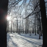 Зима и солнце - парк прекрасен, Болохово