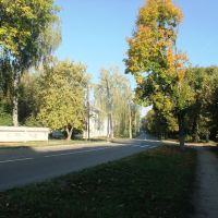 Мира улица осенью, Болохово