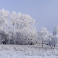 Зима в Узловой, Узловая