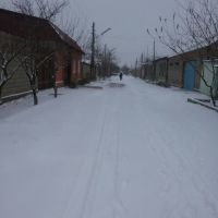 улица шорс, Чкаловск