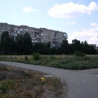 Во дворах по Куйбышева недалеко от ЖД вокзала. 2009 г., Донецк