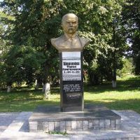 Памятник Шевченко, Володарка