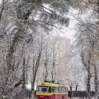 Зима Трамвай, Киев