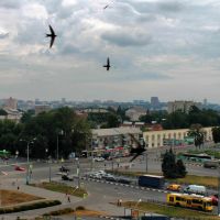 Харьков с высоты птичьего полета, Харьков
