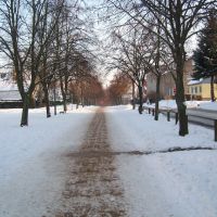 Von-Pentz-Allee im Winter, Грейфсвальд