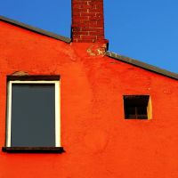 orange house, Росток