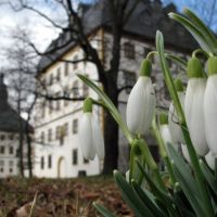 Frühling auf Schloss Friedenstein, Гота