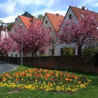 Aschaffenburg -- Endlich: Der Frühling ist da!, Ашхаффенбург