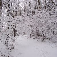 Verschneite Winterlandschaft, Фурт