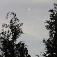 Mond 3.04.12, Хоф