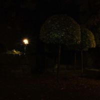 Nachts im Klostergarten, Зинделфинген