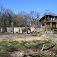 Elefantengehege im Karlsruher Zoo / Elephants enclosure in the Karlsruhe zoo, Карлсруэ