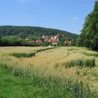Bebenhausen: Sicht auf Bebenhausen über die Felder, Рютлинген