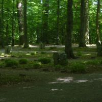 Waldfriedhof, Тюбинген