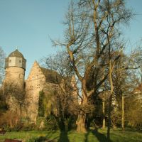 Altes Schloss / Blick v. Bot. Garten !, Гиссен