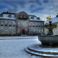 Kaiserringhaus  mit Adler,  Goslar, built 1787, Гослар