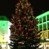 Weihnachtsbaum am Nikolaiort, Оснабрюк