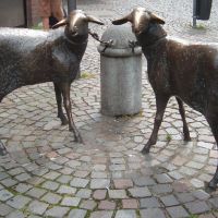 Die Schafe der Bäuerin, Бергиш-Гладбах