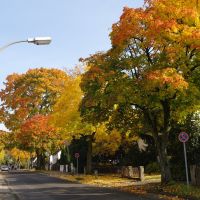 Feldstraße im Herbst, Бергиш-Гладбах