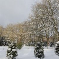 Hohenstein im Winter, Виттен