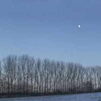 Winter moon, Детмольд