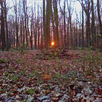 Sonnenuntergang im Schwerter Wald (12/2007), Лунен