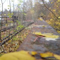 Herbst auf dem Viadukt der Wissertalbahn / km 6,9, Рейн
