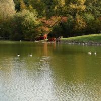 Озеро в парке, Beckum