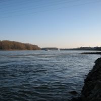 Rhein aufwärts, Нидеркассель