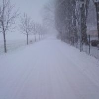 Pampower Weg im Winter, Тетеров