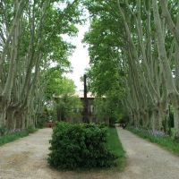 Avenue of Plane trees, Jas de Bouffan, Aix en Provence, А-ен-Провенс