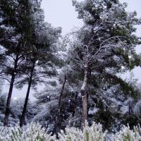 Winter in Aix, А-ен-Провенс