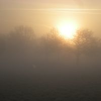 Marclop brouillard matinal, Руанн